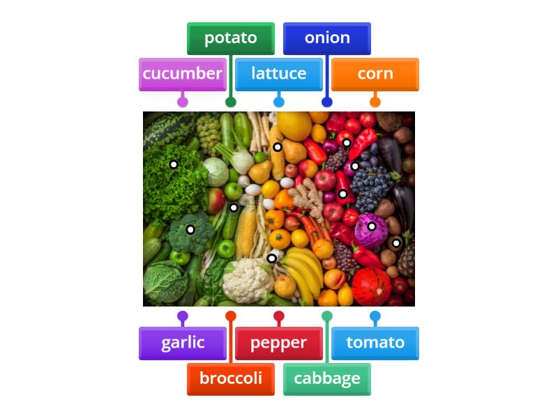 Vegetables - Labelled diagram