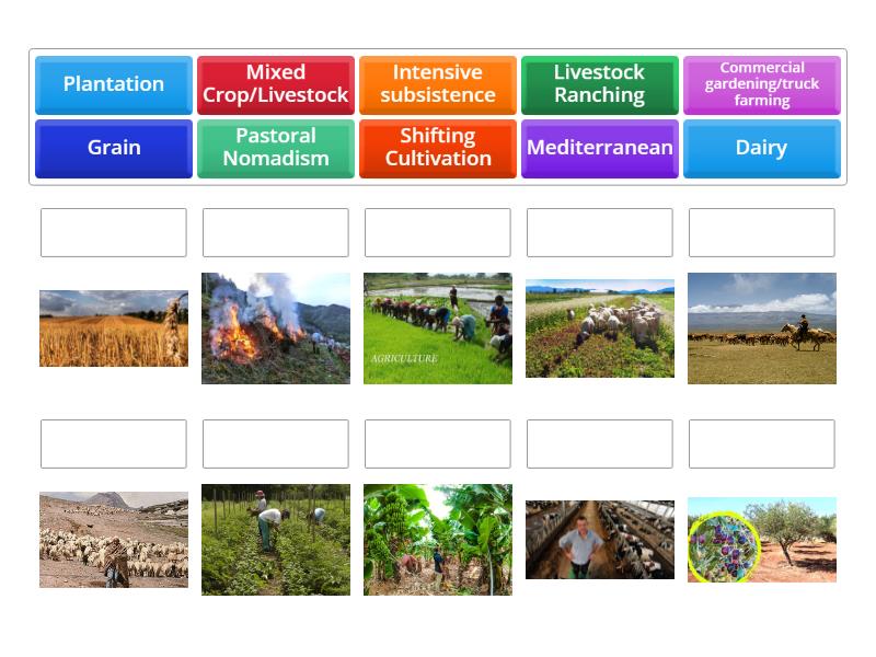 AP HuG Agriculture - Match up