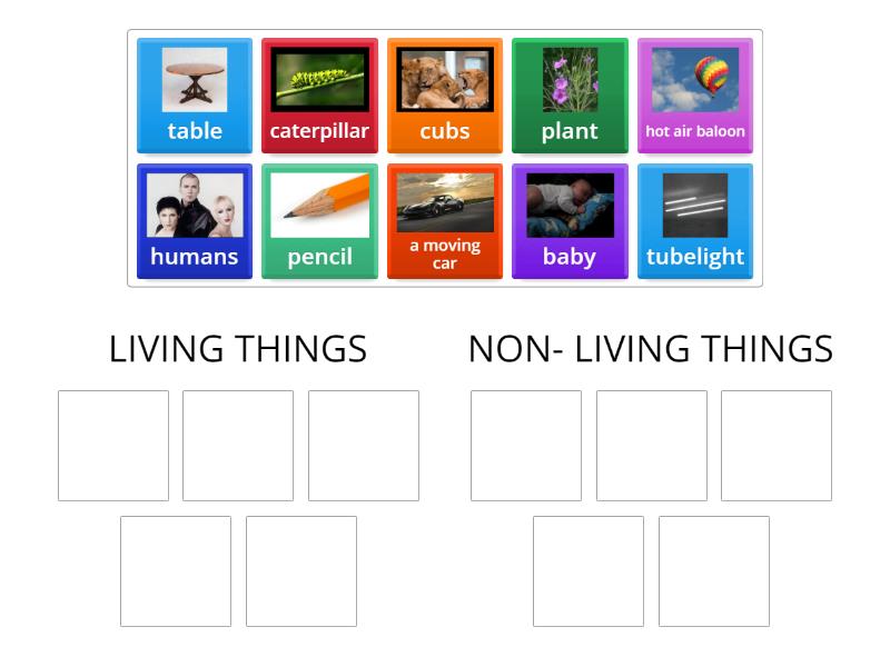 Living and Non-Living Things - Group sort