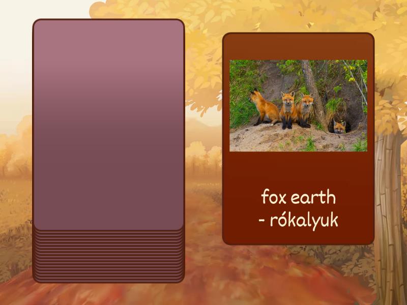 Nature and science for children 4/ The red fox/Vocabulary - Speaking cards