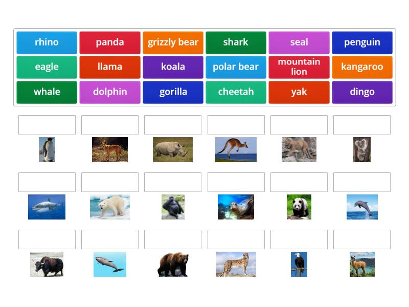 5 form wild animals - Match up