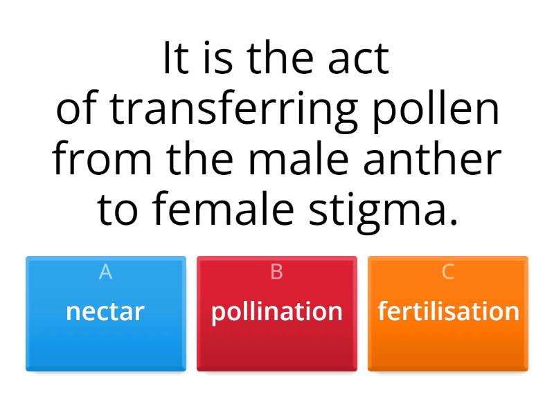 Pollination - Quiz